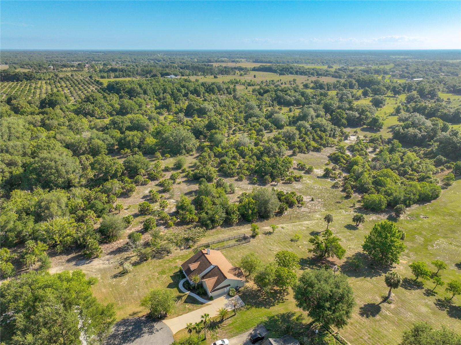 HILLS MOUNT DORA - Residential
