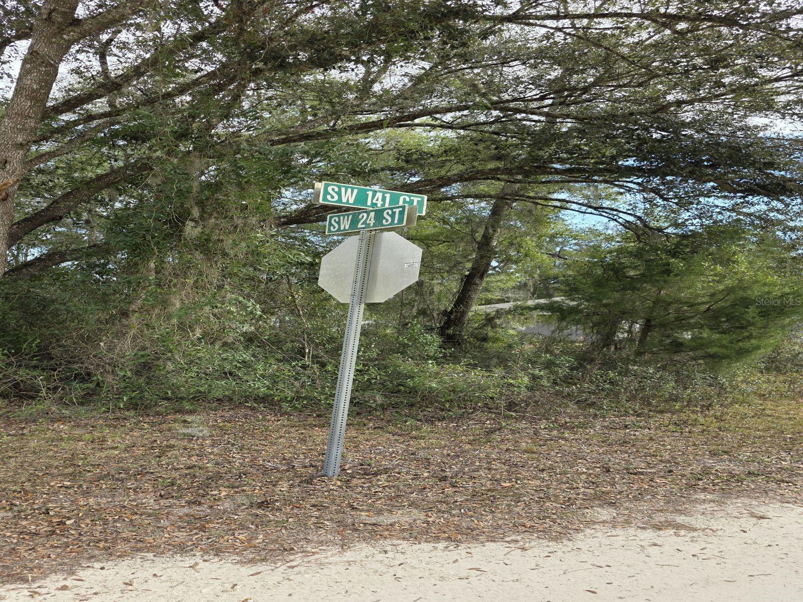 RAINBOW PARK UN 01 - Land