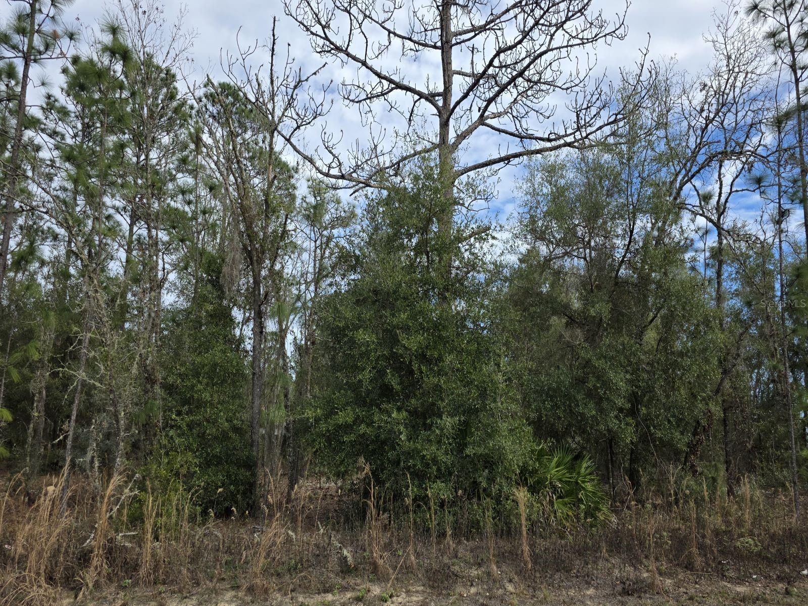 RAINBOW PARK UN 01 - Land