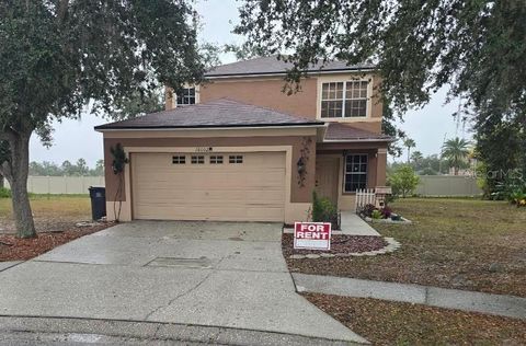 18002 BIRDWATER DRIVE TAMPA FL 33647