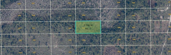 DILL RD, ORLANDO, FL 32820 - Image 4a9d2b8cac1d440dfeb730ec2f5d32d7/1314397617