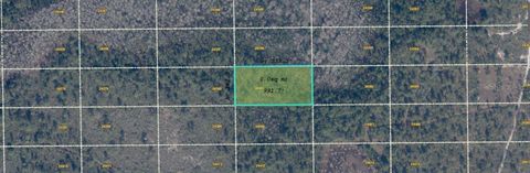 Photo of Dill Road, Orlando, FL 32820 (MLS # O6416907)