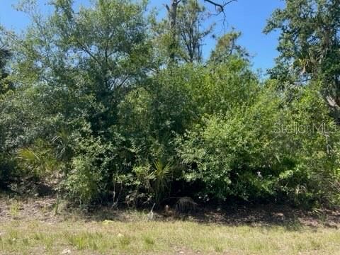 23477 BRANCH AVENUE PORT CHARLOTTE FL 33980