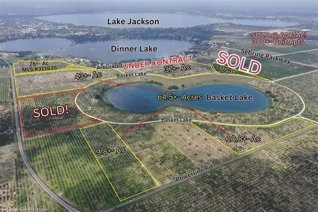 Photo of 1115 Basket Lake Road, Avon Park, FL 33825 (MLS # L4957456)