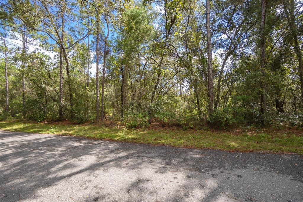 Photo of 3210 E Michael Street, Inverness, FL 34453 (MLS # W7883407)