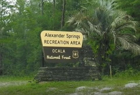 Tiny photo for 19040 Ravenswood Road, Altoona, FL 32702 (MLS # O6395401)