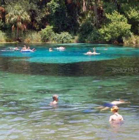 Tiny photo for 19040 Ravenswood Road, Altoona, FL 32702 (MLS # O6395401)