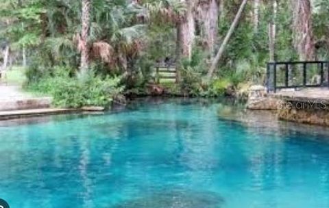 Tiny photo for 19040 Ravenswood Road, Altoona, FL 32702 (MLS # O6395401)