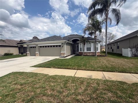 14238 BEAULY CIRCLE HUDSON FL 34667