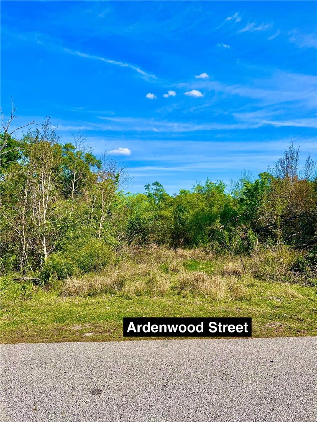 Photo of Ardenwood Street, Tampa, FL 33625 (MLS # O6292613)