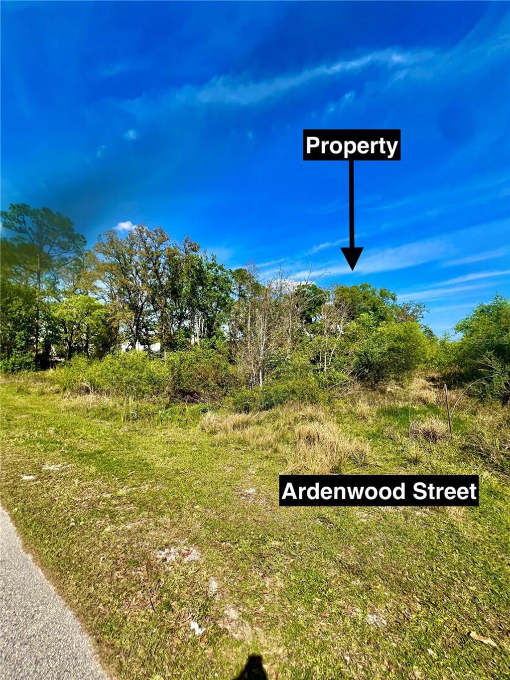 Photo of Ardenwood Street, Tampa, FL 33625 (MLS # O6292613)