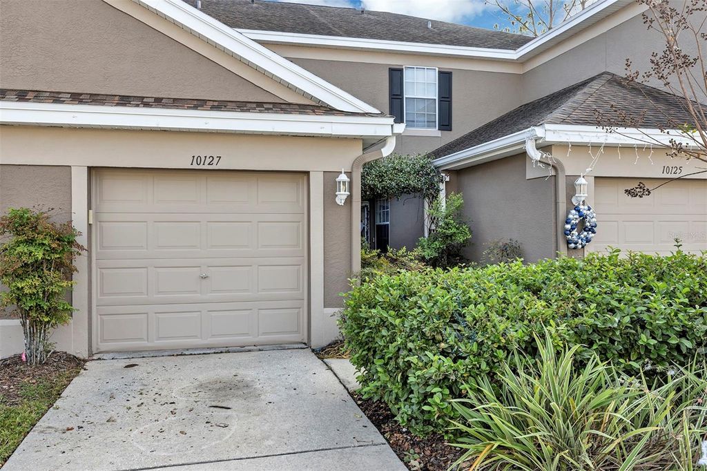 Photo of 10127 Tranquility Way, Tampa, FL 33625 (MLS # O6369790)