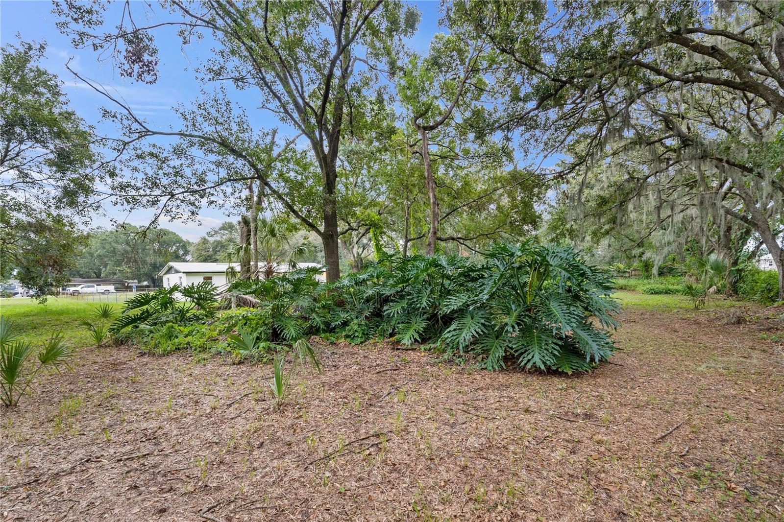 NOT IN SUBDIVISION - Residential