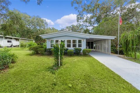Photo of 354 Ivanhoe Circle, Lady Lake, FL 32159 (MLS # G5105361)