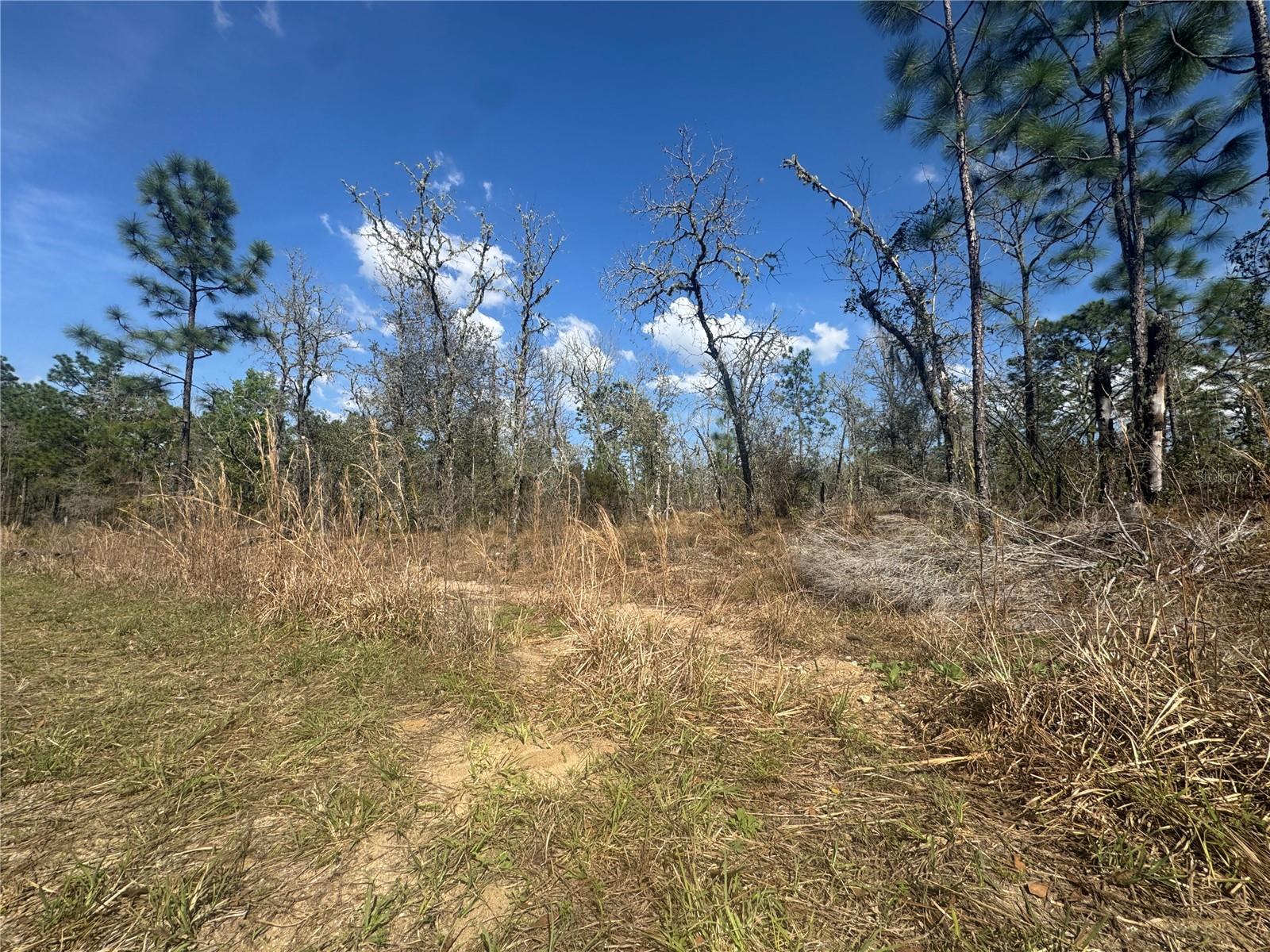 WILLISTON HIGHLANDS GOLF & C CLUB ESTATES - Land