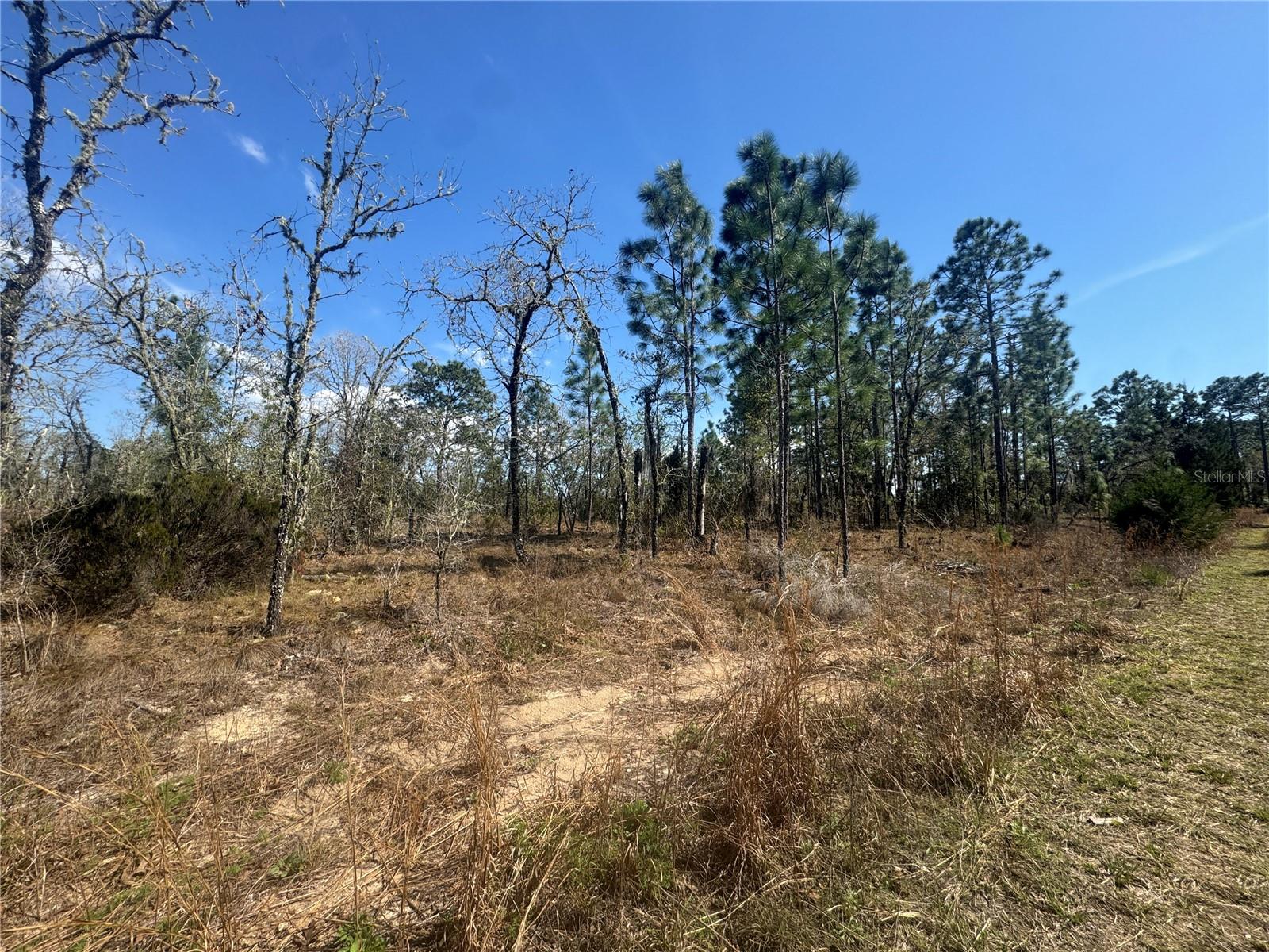 WILLISTON HIGHLANDS GOLF & C CLUB ESTATES - Land