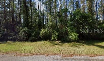 Welcome to 9244 N Athenia Drive, Citrus Springs, FL 34434 — an excellent 80 x 125 x 80 x 12 ft homesite in the heart of one of Citrus County’s fastest-growing communities. Future homeowners will enjoy no mandatory HOA and the peace of mind of a homes-only deed-restricted community (site-built homes only, no manufactured). This parcel sits dry in Flood Zone X, with paved road access and Duke Energy electric service nearby. The lot will require onsite well water and septic system, typical for Citrus Springs, with support from the Citrus County Water & Sewer District for resource information. Build at your own pace — there are no time limits to build, and you can choose your own builder. Citrus Springs is known for its community amenities, including a library, tennis courts, ball fields, and direct access to the 46-mile Withlacoochee State Trail for biking and hiking. Just minutes away, you’ll find Rainbow Springs State Park and Rainbow River, perfect for kayaking, tubing, and swimming in crystal-clear spring water. Shopping, medical offices, and dining in Dunnellon are close by, with easy commutes to Ocala, Crystal River, and the Gulf Coast. Whether you’re ready to break ground now or want to secure a solid investment for the future, this lot offers the ideal combination of location, utilities, and Florida lifestyle.
*BONUS: Ask about 2 more available lots ON THE SAME STREET and 3 other lots in this area — ask about package pricing for multiple parcels! CALL today and turn opportunity into reality!