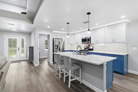 Tiny photo for 232 E Falcon Street, Dunnellon, FL 34434 (MLS # TB8525781)