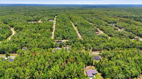 Tiny photo for 232 E Falcon Street, Dunnellon, FL 34434 (MLS # TB8525781)