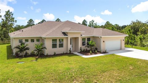 Photo of 19424 Oakleaf Street, Orlando, FL 32833 (MLS # TB8425277)