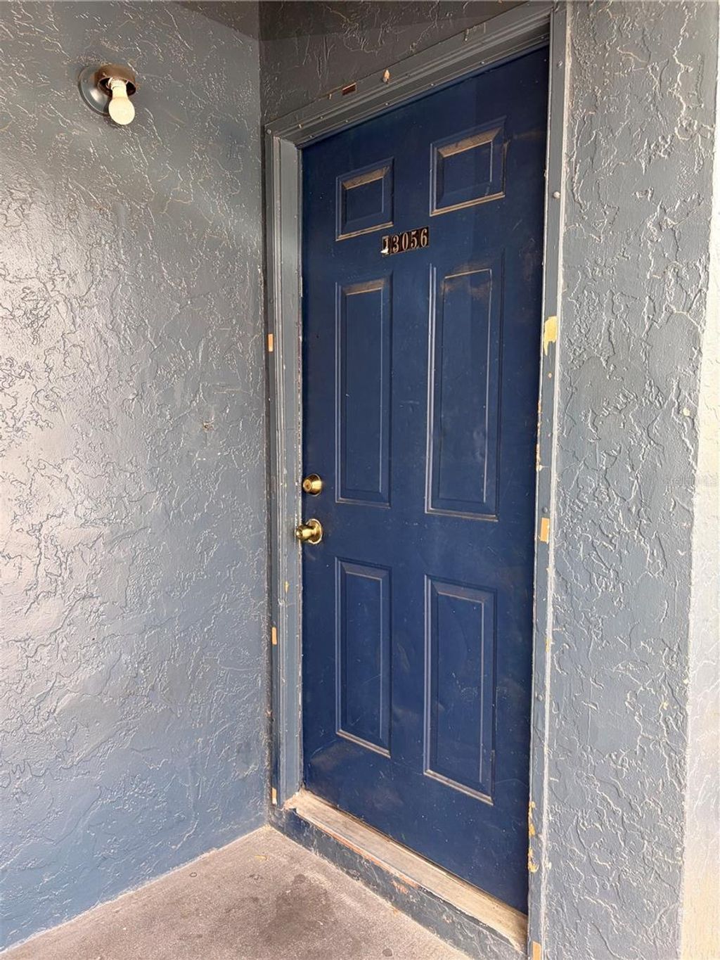 Photo of 13056 Londondary Place, Tampa, FL 33612 (MLS # TB8497374)