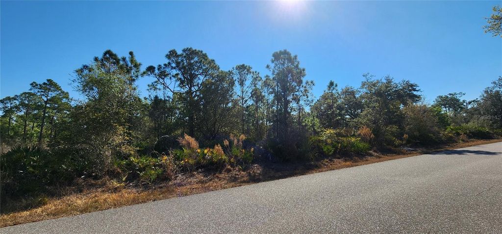 Photo of 3580 Vassar Street, Punta Gorda, FL 33980 (MLS # C7521974)