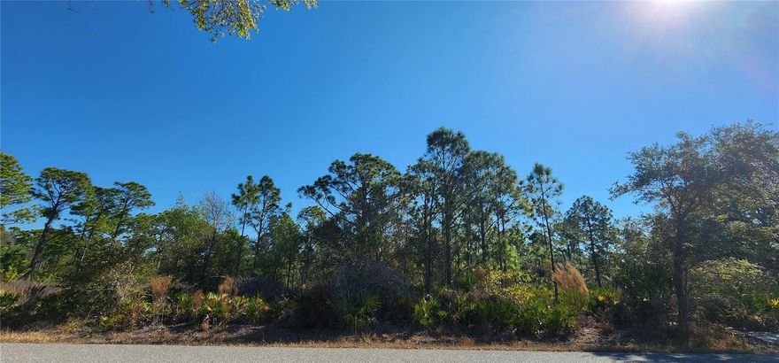 Build your Florida dream home on this conveniently located lot featuring easy road frontage in a growing area with no HOA, no CDD, and no scrub jay restrictions. Close to Kings Highway, I 75, shopping, dining, and the stunning Gulf Coast beaches.