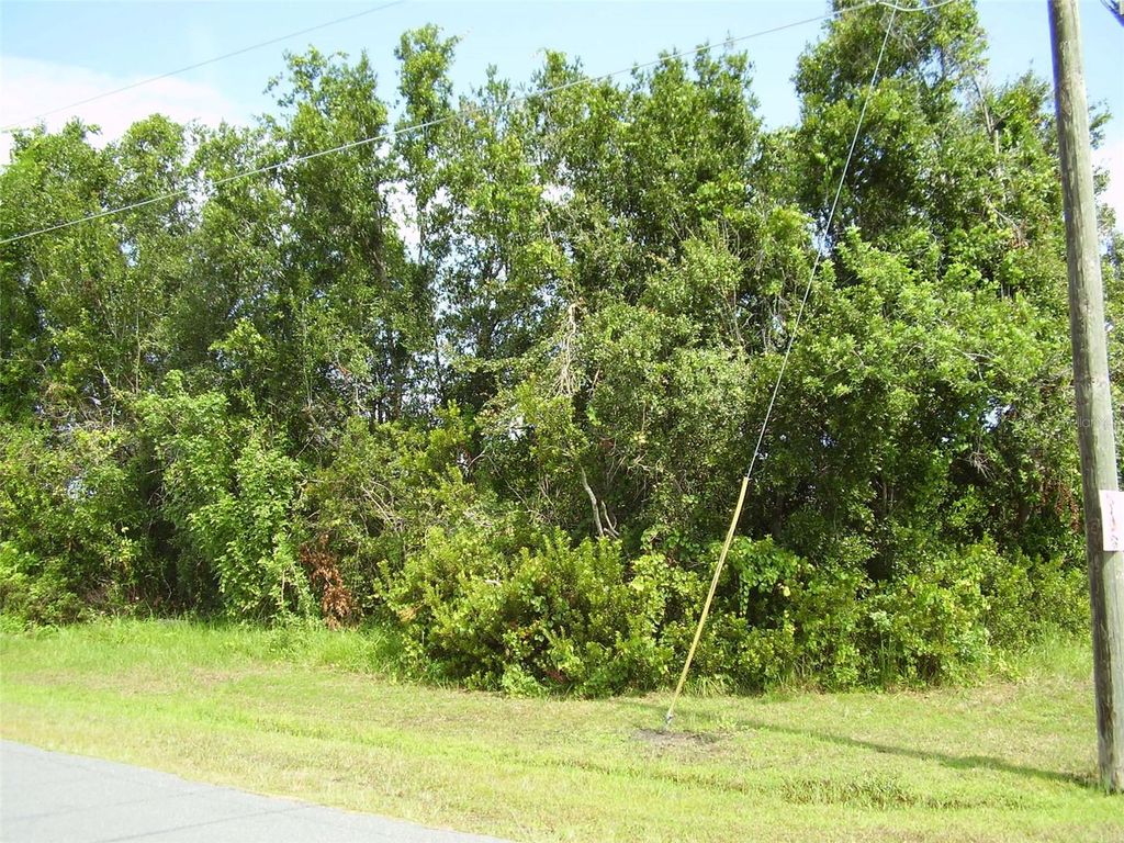 Photo of 801 Carrousel Lane, Kissimmee, FL 34759 (MLS # R4909969)