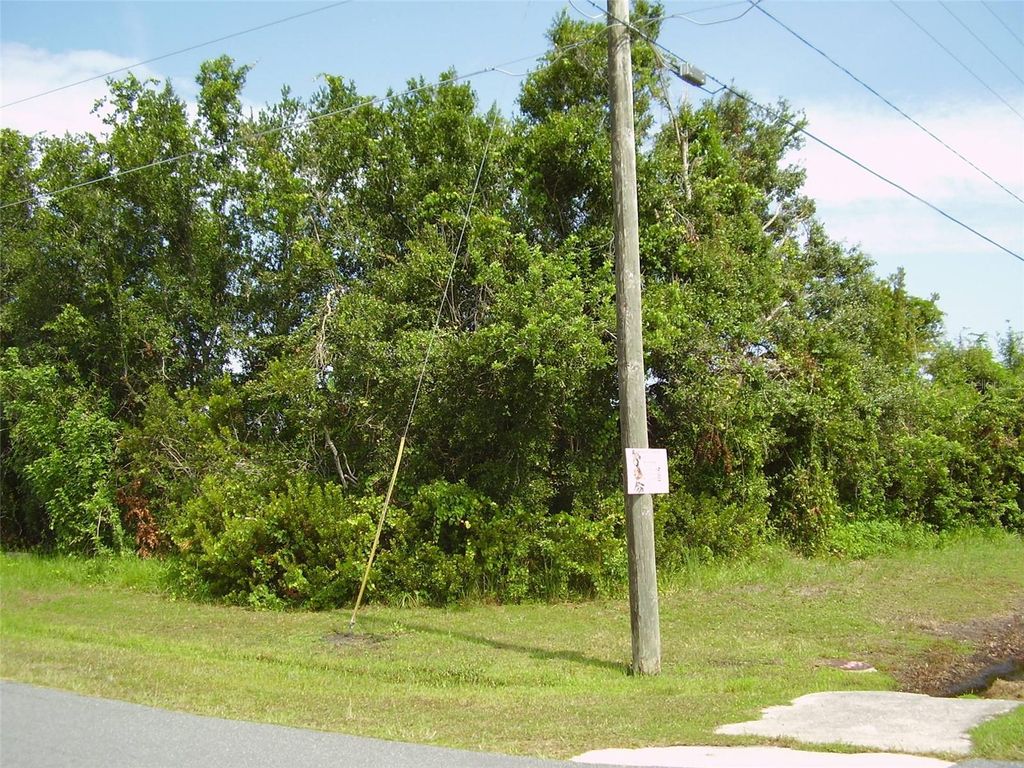 Photo of 801 Carrousel Lane, Kissimmee, FL 34759 (MLS # R4909969)