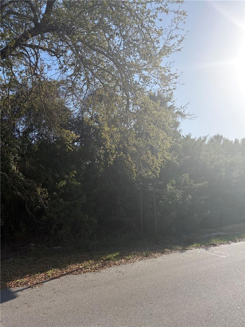 Photo of 14491 Ransom Avenue, Port Charlotte, FL 33953 (MLS # A4685528)