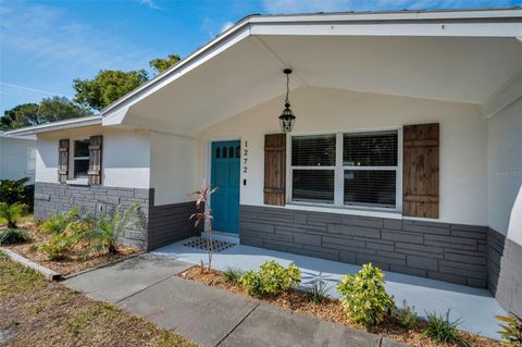 A home in DUNEDIN