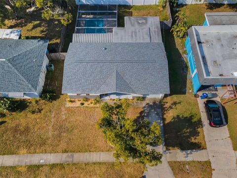 A home in DUNEDIN