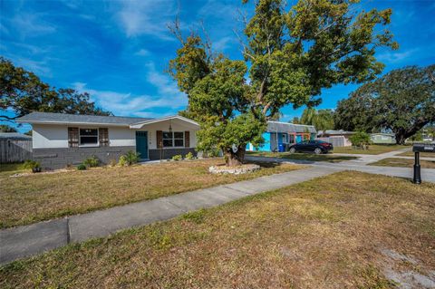 A home in DUNEDIN