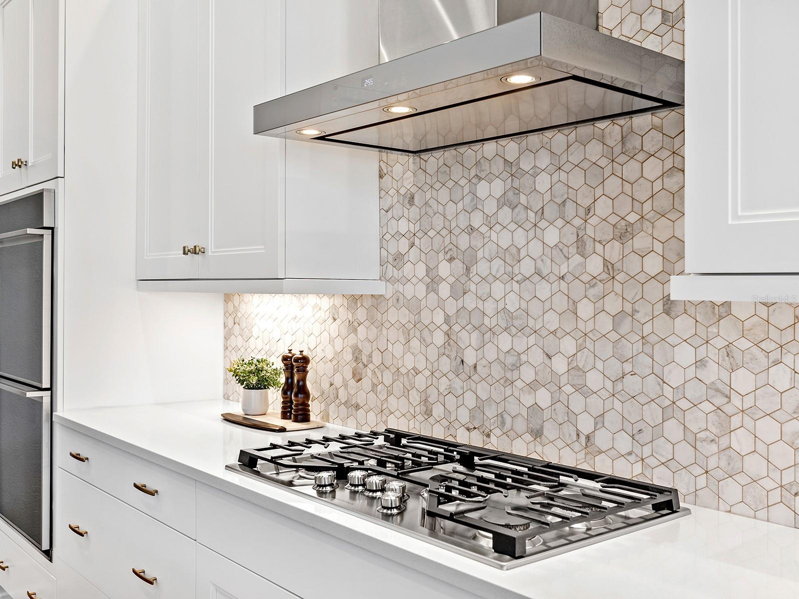 LAKEHOUSE COVE AT WATERSIDE IN LAKEWOOD RANCH - Residential