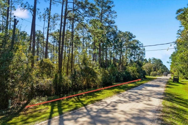 1451 HICKORY ST, BUNNELL, FL 32110 - Image 4ac6e51c6ab9ff95e2e40d6bb9bd7f53/3203912632