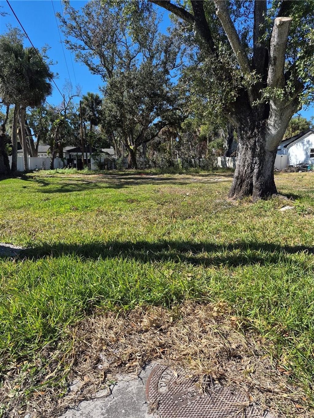 Photo of 2221 S Occident Street, Tampa, FL 33629 (MLS # TB8466191)