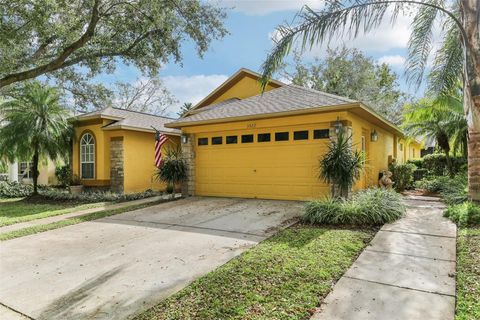 A home in VALRICO