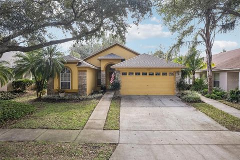 A home in VALRICO