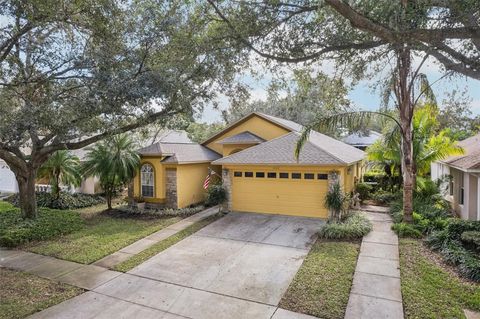 A home in VALRICO