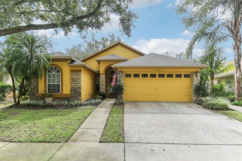 A home in VALRICO