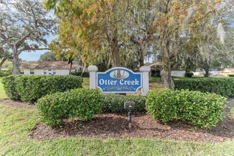 A home in VALRICO