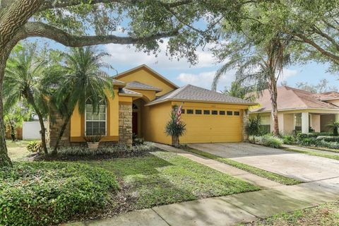 A home in VALRICO