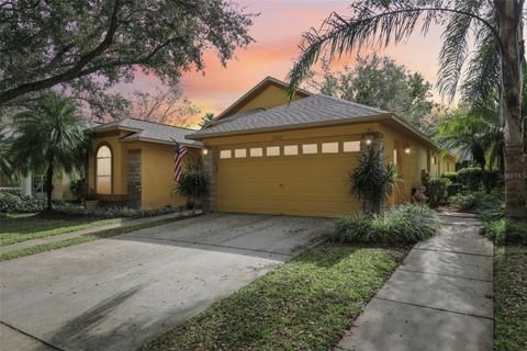 A home in VALRICO