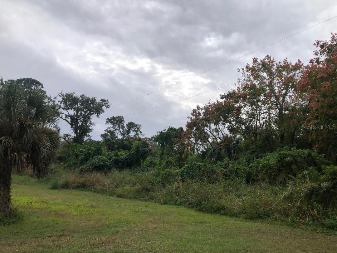 FOREST SLOPES-511 - Land