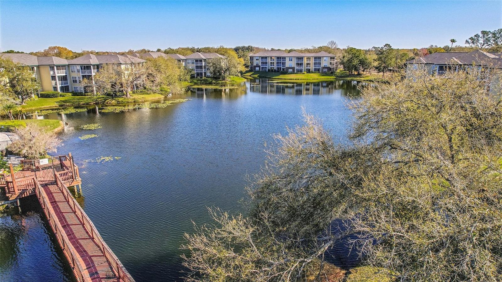 THE LANDINGS OF TAMPA - Residential