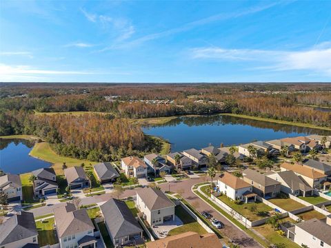 A home in LAND O LAKES