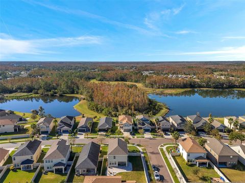 A home in LAND O LAKES