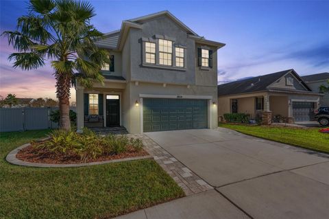 A home in LAND O LAKES