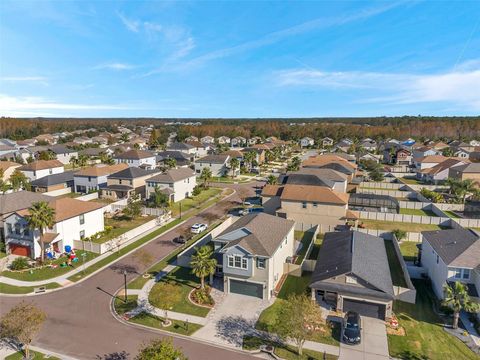 A home in LAND O LAKES