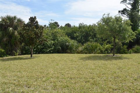 A home in PALM COAST